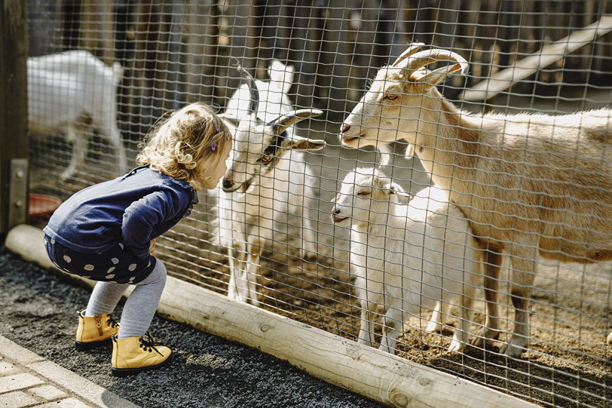 Tierpark Lohberg