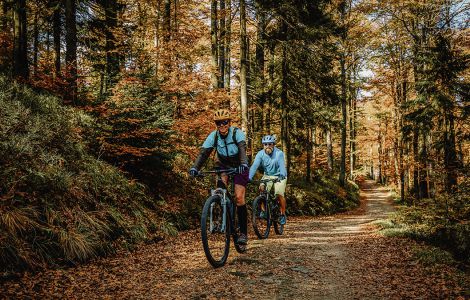 Radfahren / Radtouren